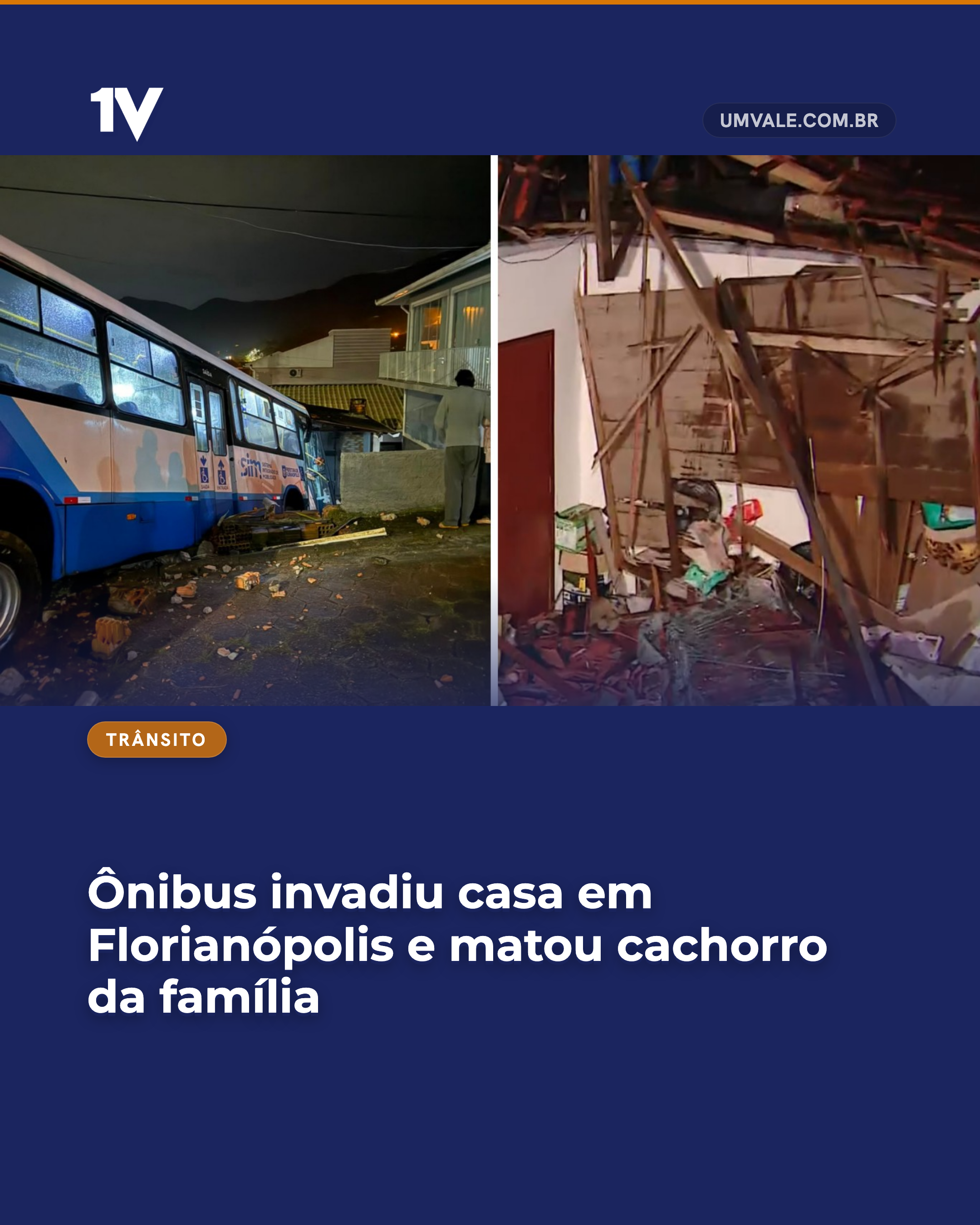Ônibus invadiu casa em Florianópolis e matou cachorro da família