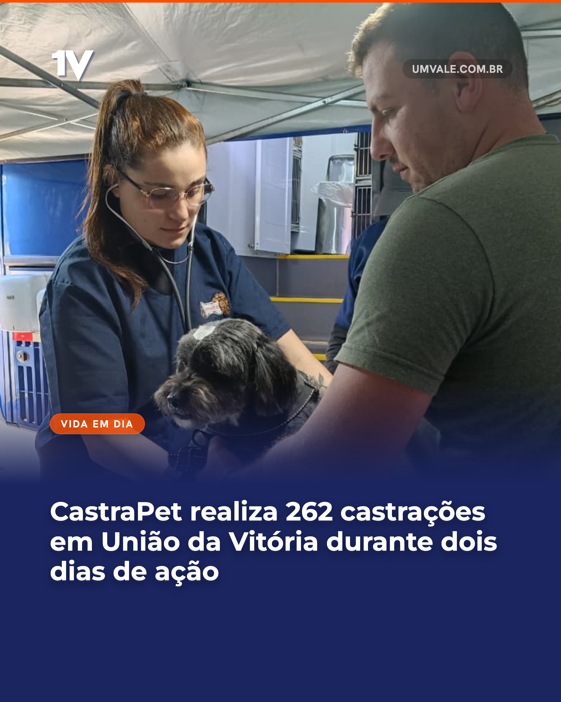 CastraPet realiza 262 castrações em União da Vitória durante dois dias de ação