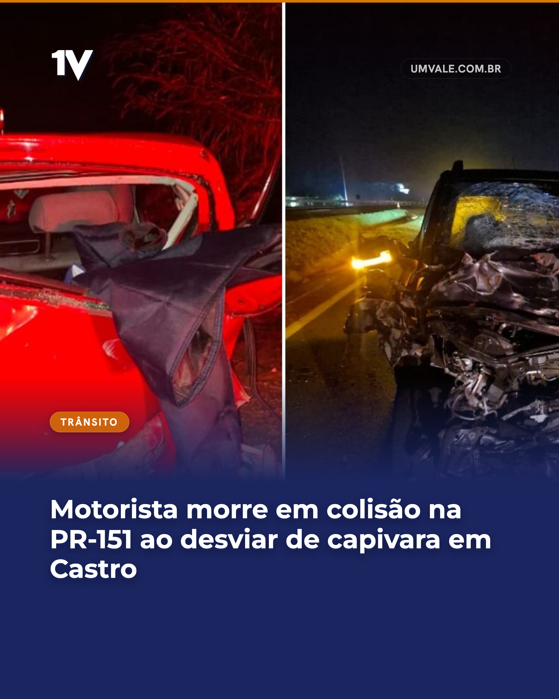 Motorista morre em colisão na PR-151 ao desviar de capivara em Castro