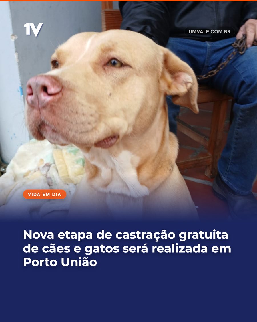 Nova etapa de castração gratuita de cães e gatos será realizada em Porto União