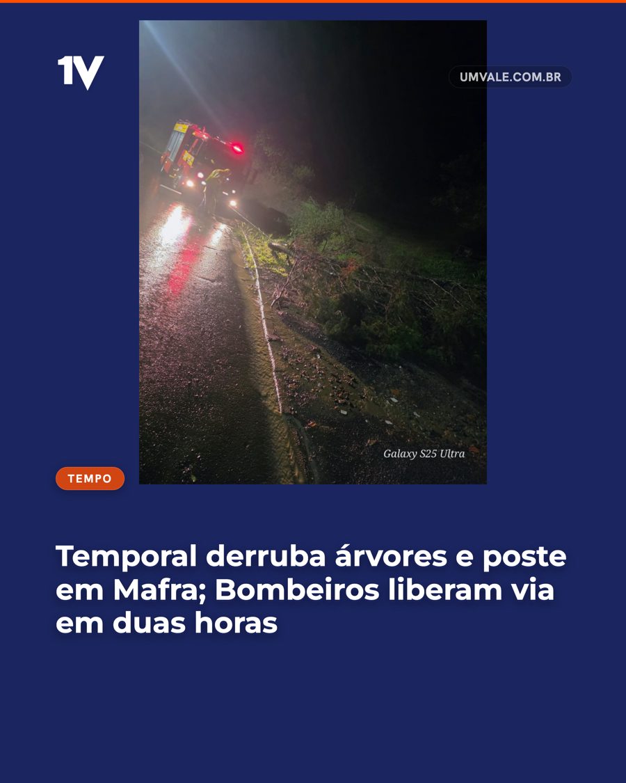 Temporal derruba árvores e poste em Mafra; Bombeiros liberam via em duas horas