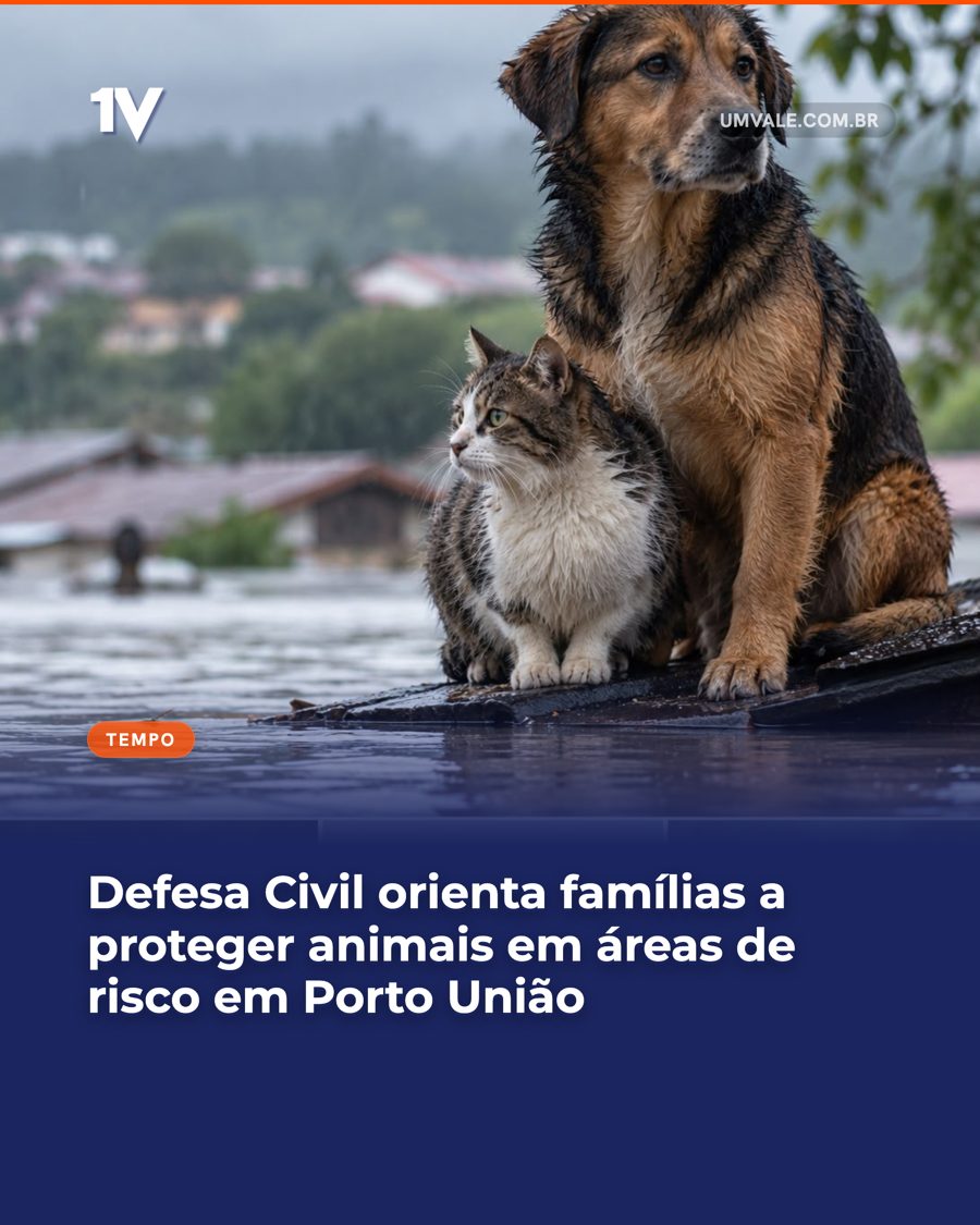 Defesa Civil orienta famílias a proteger animais em áreas de risco em Porto União