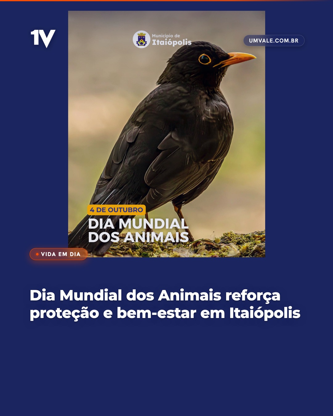 Dia Mundial dos Animais reforça proteção e bem-estar em Itaiópolis
